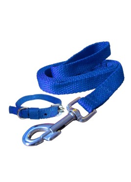 Fekrix Premium Blue Nylon Lease With Collar 1 Inch